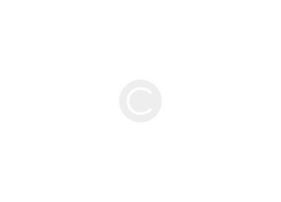 charity-icon